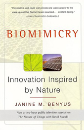 biomimicry-1.jpg